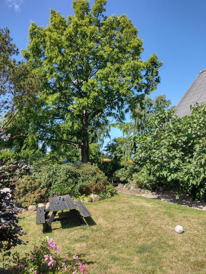Den Gamle Apotekergaard Bed and Breakfast Hong Εξωτερικό φωτογραφία
