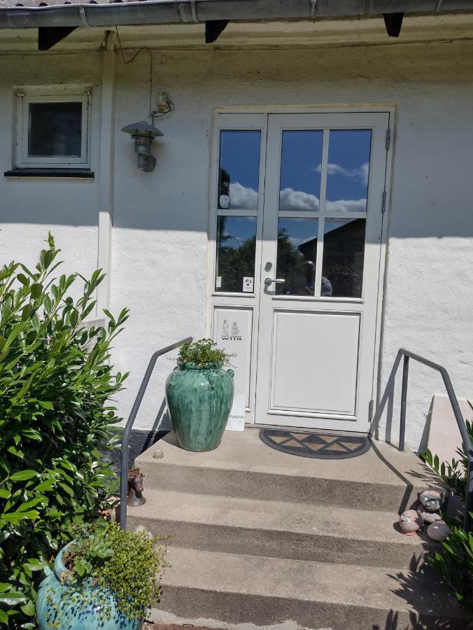 Den Gamle Apotekergaard Bed and Breakfast Hong Εξωτερικό φωτογραφία